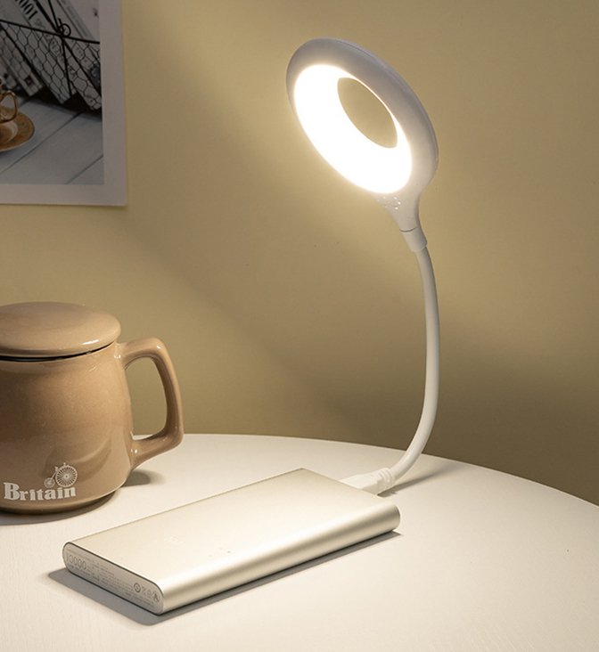Voice Control Light