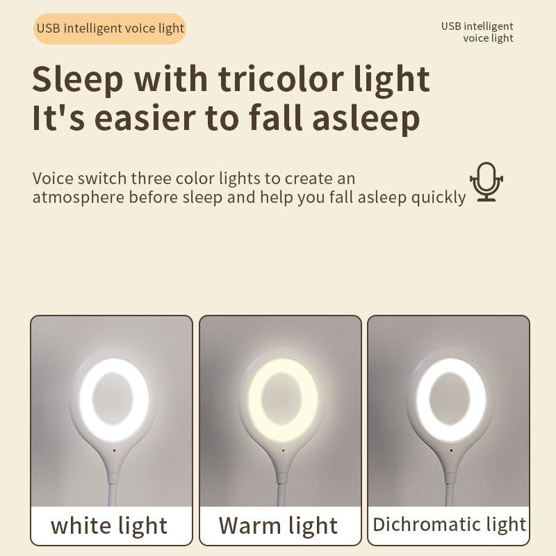 Voice Control Light